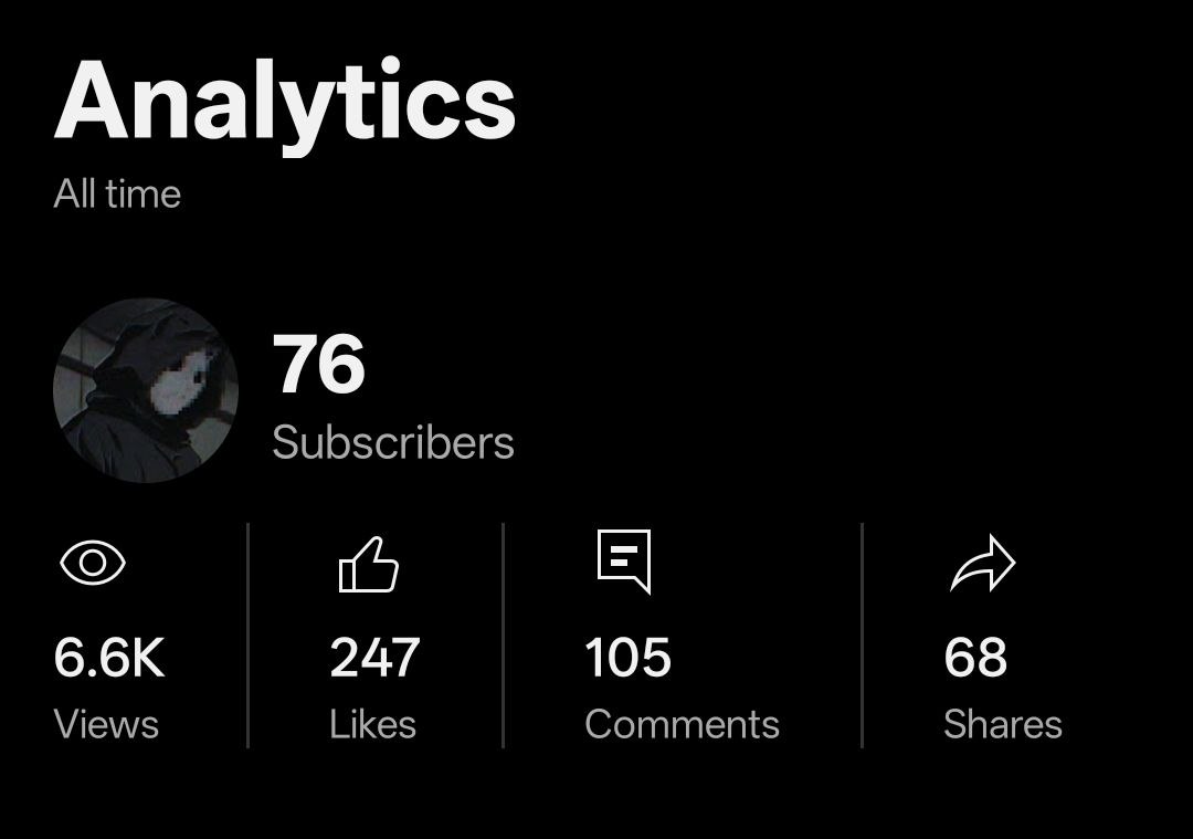 Accumulated 6.6k views across personal YouTube videos